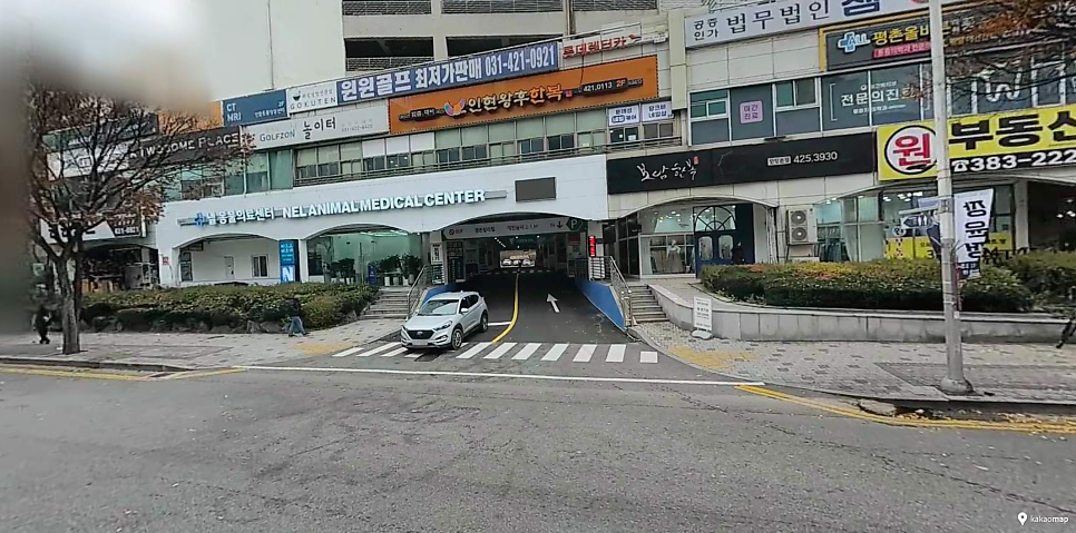 안양시청 주차장 | 중앙공원 나들이, 5부제 피하는 가성비 스팟 5