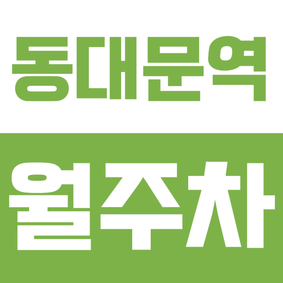 동대문역 월주차ㅣ관광·상권·업무시설이 모인 동대문역, 월주차 알아보기 대표 이미지