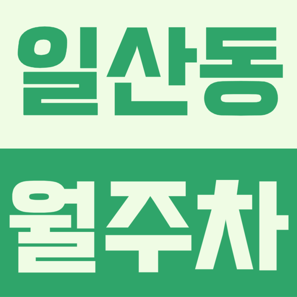 일산역 인근 역세권 및 활용도가 높은 일산동 월주차 대표 이미지