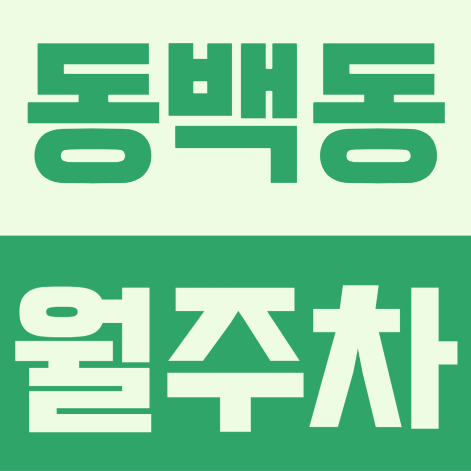 용인 동백동 월주차 편리하게 이용하는 방법 공개 대표 이미지