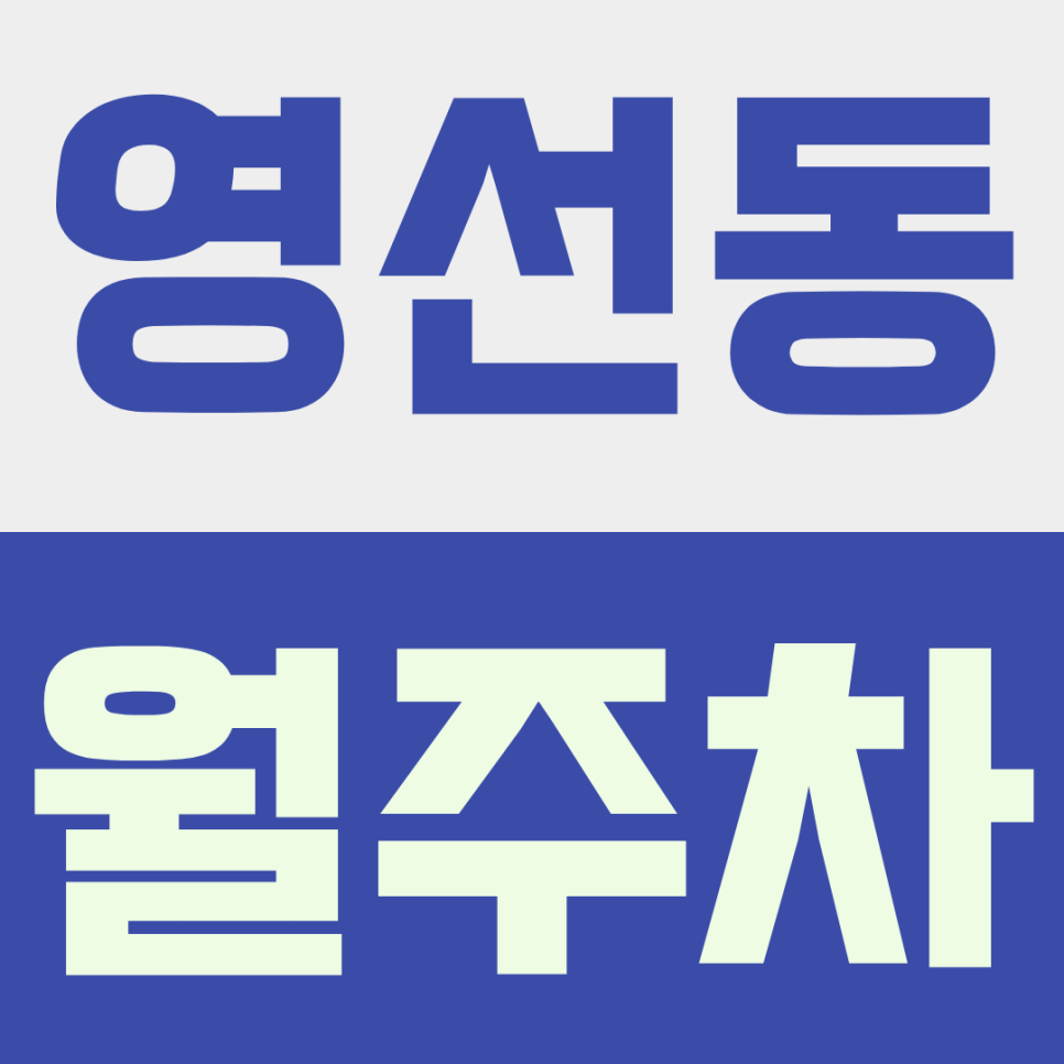 영선동 월주차ㅣ주말 관광객 인파도 끄떡없는 영도 영선동 월주차 추천 (내 차 자리는 지키자!) 대표 이미지