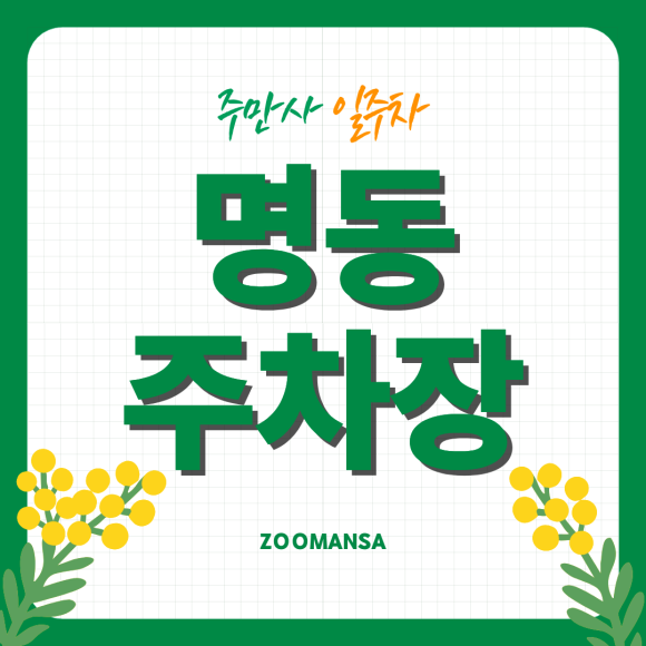명동 주차장ㅣ명동에서 1시간부터 당일권까지 내 스케줄대로 고르는 자주식 일주차장(SUV 가능!) 대표 이미지