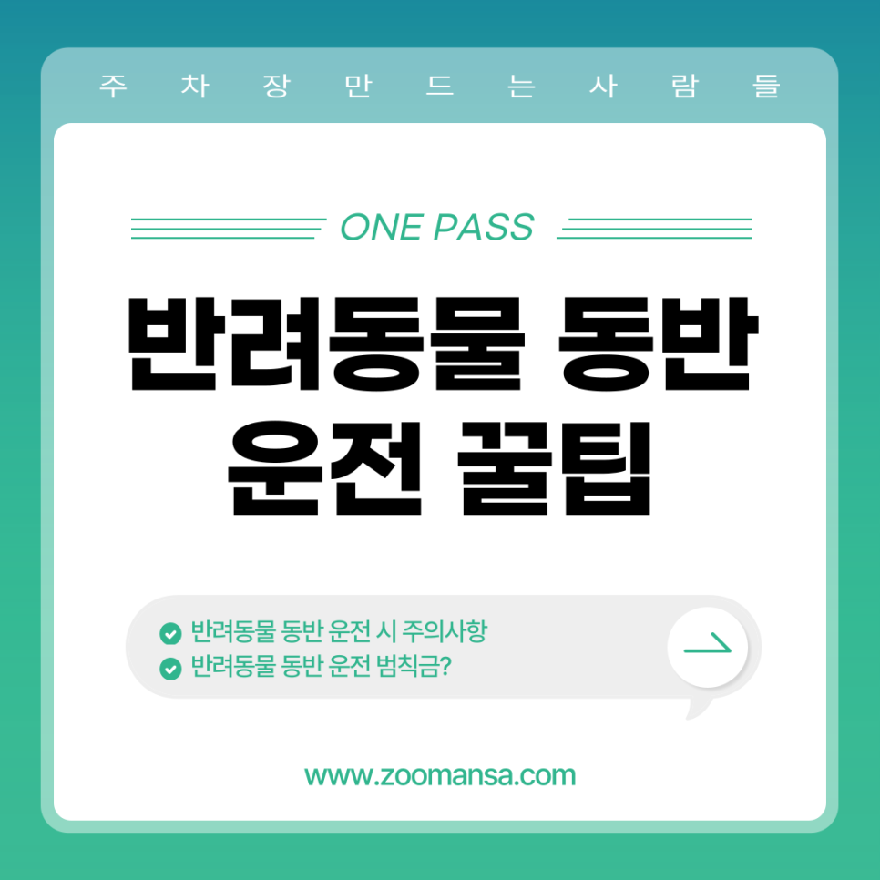 반려동물과 동반 운전 시 지켜야 할 안전수칙 대표 이미지