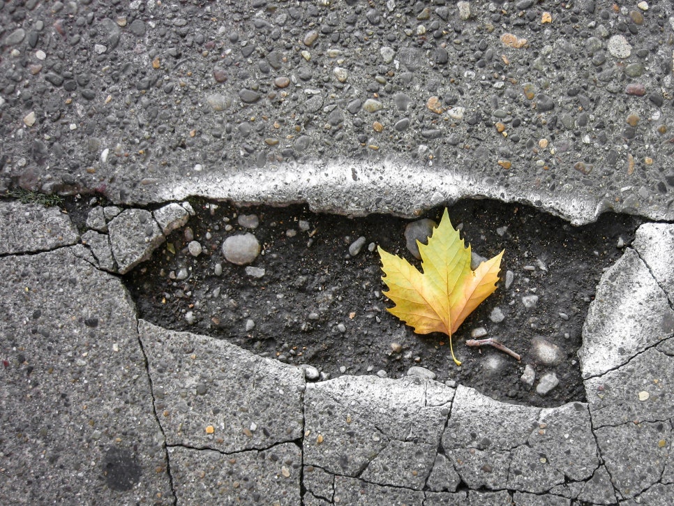 가을철 운전 주의사항 가을에도 안전운전하는 법