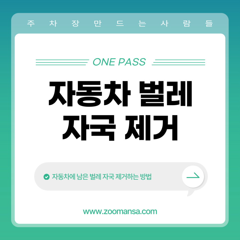 자동차 벌레 자국 제거하는 법