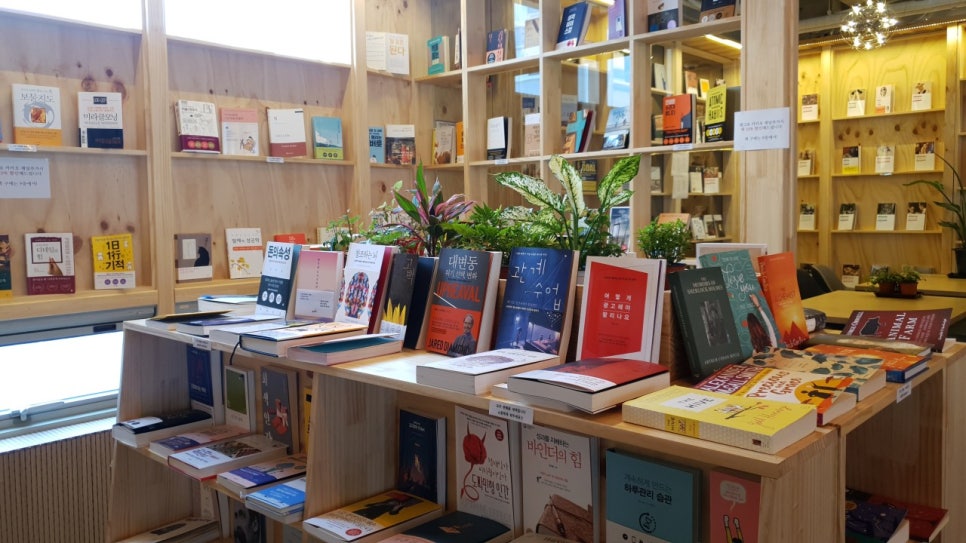 마포역 근처 주차장 공영주차장 민영주차장 요금 비교 전망 맛집 마포 북카페 '채그로' 추천