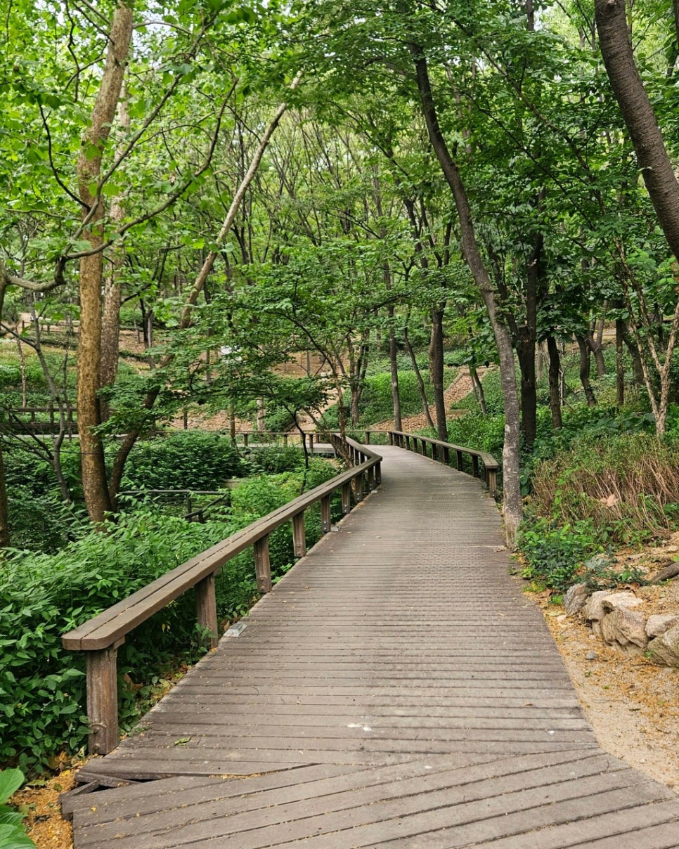 답십리공원 주차장 동대문구 체육관 근처 저렴한 주차 할인권 추천
