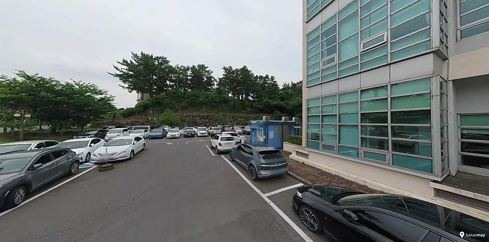 제주도 주차장 | 여행부터 일상까지, 주만사가 직접 골라본 알짜 주차장 7곳✨