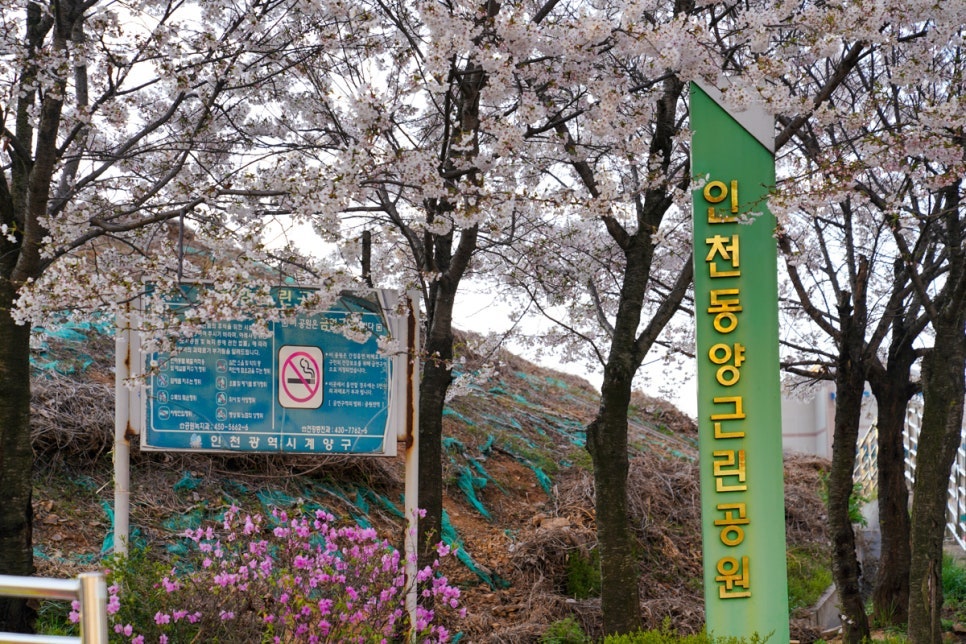 인천 동양 근린공원 주차장 | 동양동 산책 나들이 하기 좋은 곳 저렴한 합리적 가격의 주차장 추천까지
