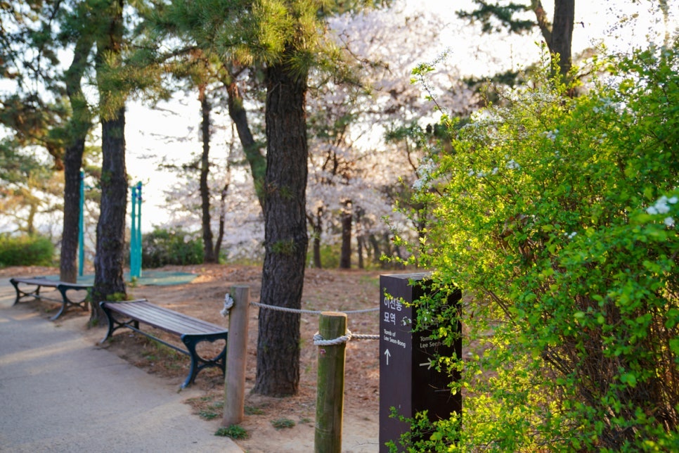 인천 동양 근린공원 주차장 | 동양동 산책 나들이 하기 좋은 곳 저렴한 합리적 가격의 주차장 추천까지