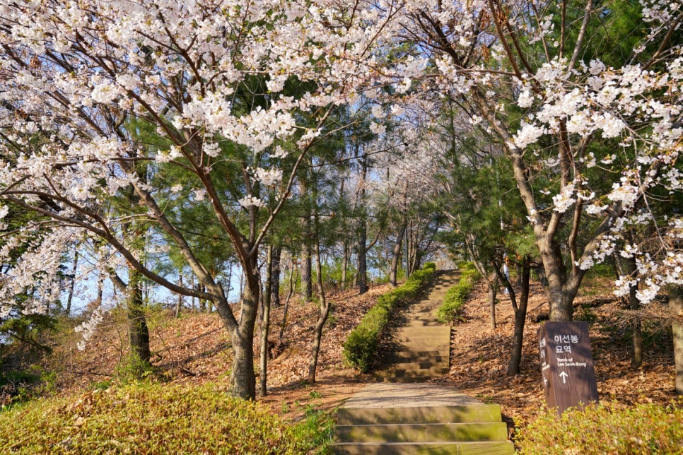 인천 동양 근린공원 주차장 | 동양동 산책 나들이 하기 좋은 곳 저렴한 합리적 가격의 주차장 추천까지