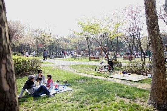 양재동 주차장 |  양재 시민의 숲 & 카페거리 나들이 필수! 가성비 주차 꿀팁