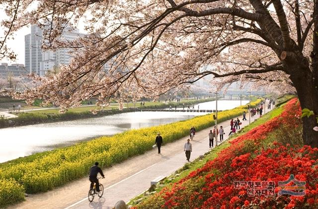 낙민역 주차장 | 동래의 자부심! 사시미가 맛있는 낙민역 '보리문디' 갈 때 주차 고민 해결법