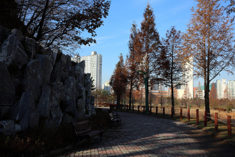 안산호수공원 주차장 | 안산 가볼만한 곳 겨울 감성 낭낭한 '안산호수공원' 산책  & 주차장 꿀팁