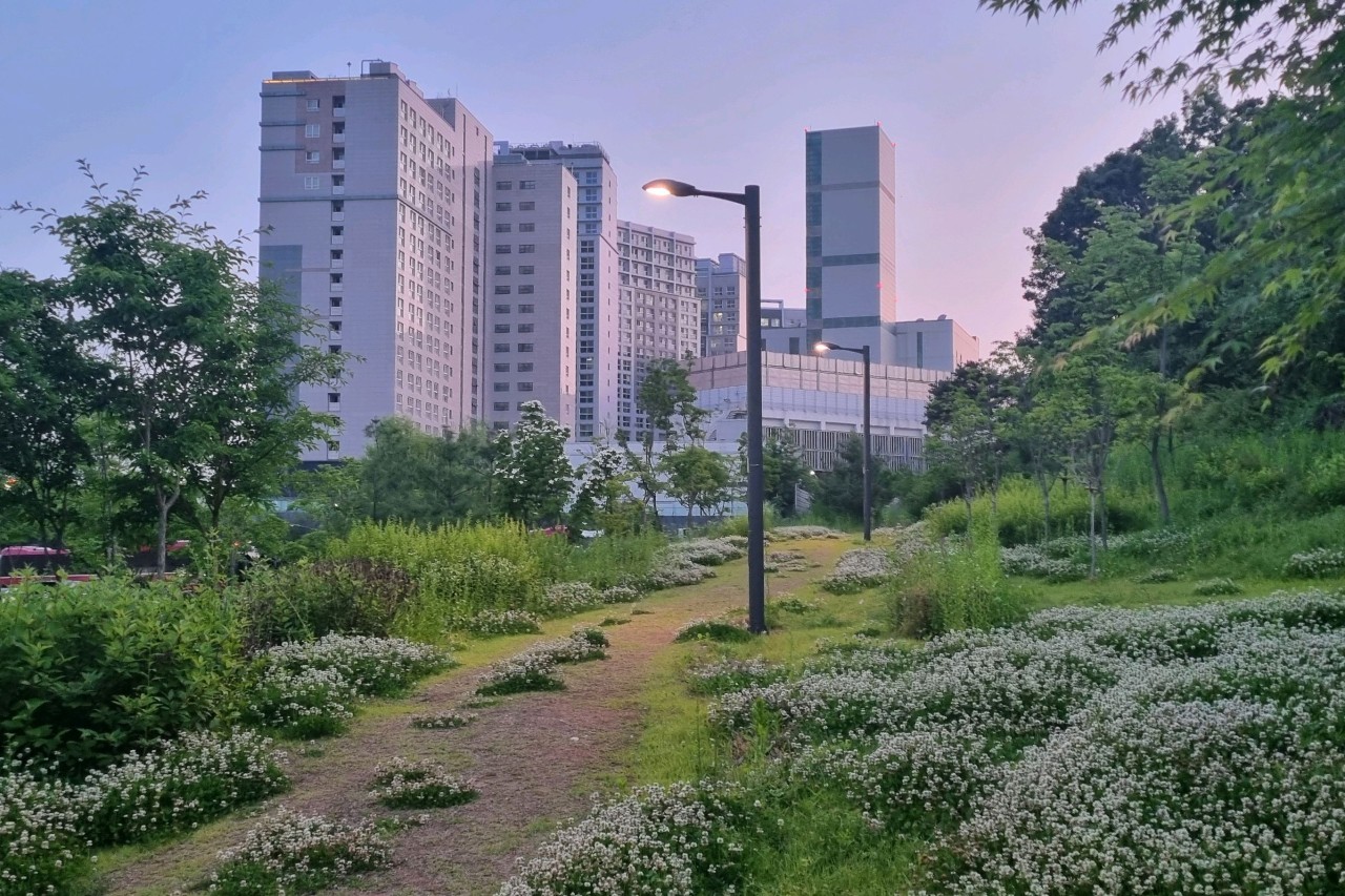 미사숲공원 주차장 | 봄 벚꽃 나들이 필수 체크, 공원 도보 5분·휴일 당일권 3,000원