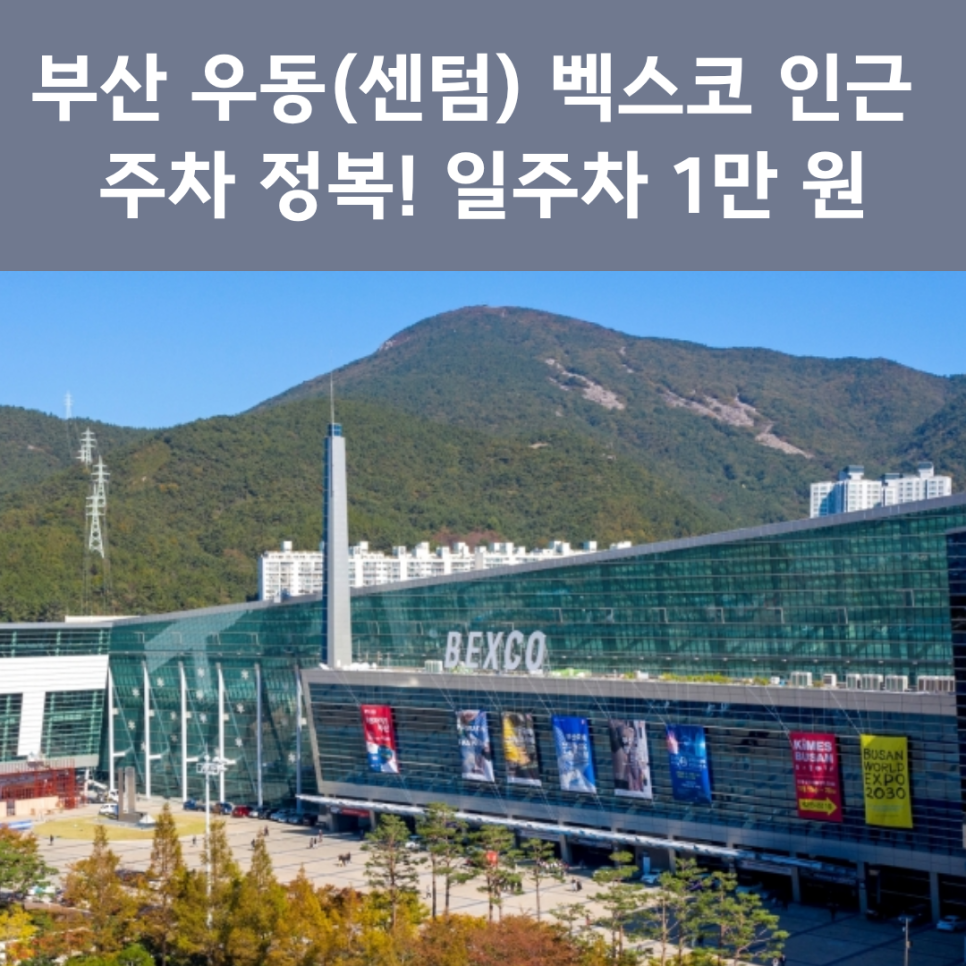 해운대 우이동 주차장 완벽 정리 | 벡스코·부산시립미술관·영화의 전당 갈 때 '일주차 1만 원' 명당! 대표 이미지
