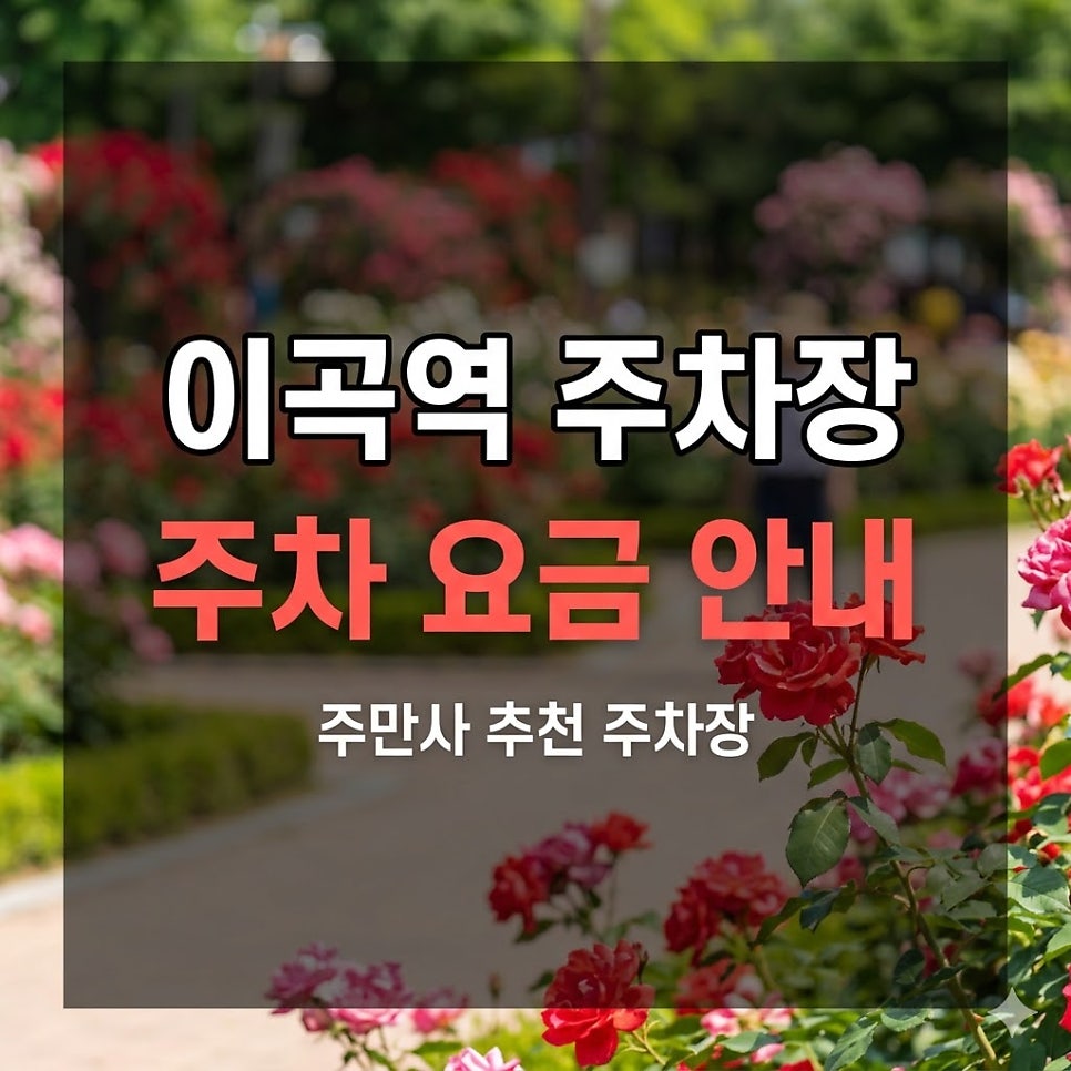 대구 이곡역주차장, 하루 종일 세워도 5천원이에요 대표 이미지