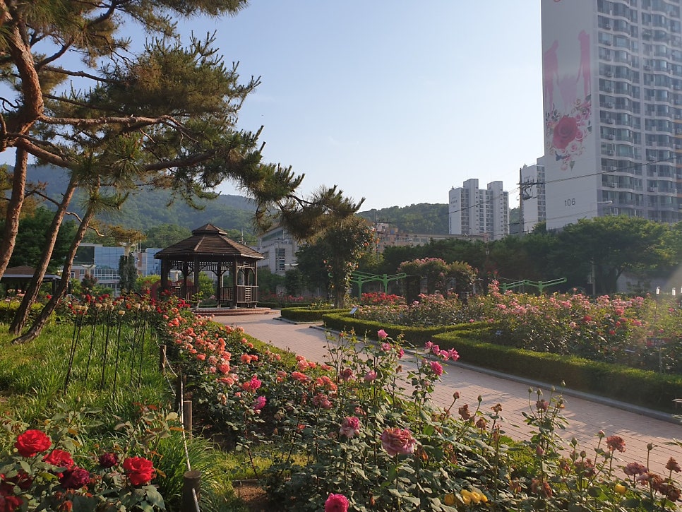 대구 이곡역주차장, 하루 종일 세워도 5천원이에요