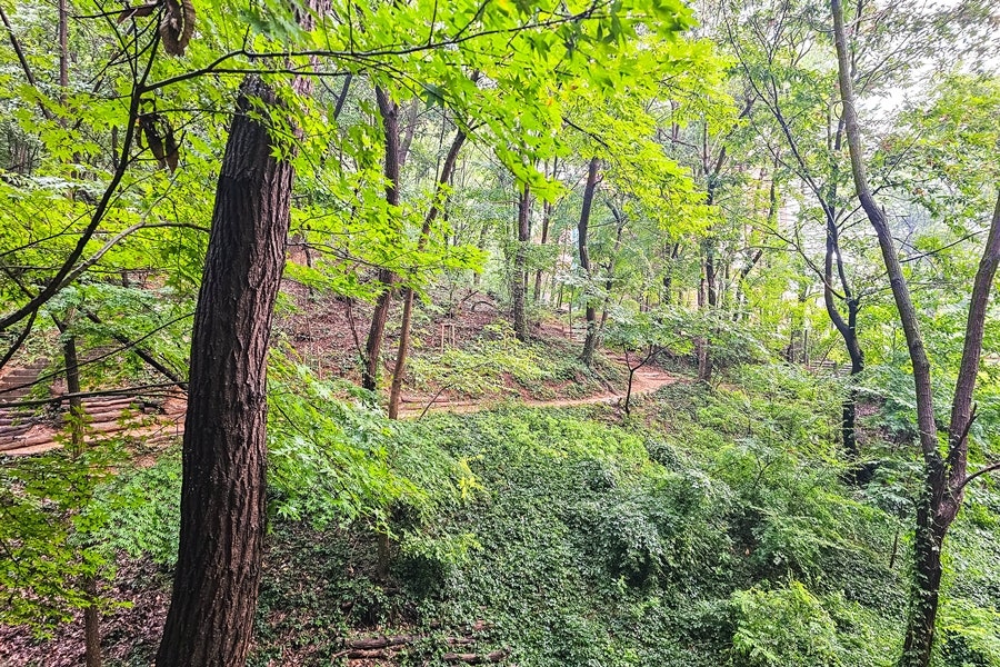 신대방역 공영주차장 5부제 적용 안내 | 신림체육센터·신림근린공원 방문 시 필독! 가성비 주차 명당 소개