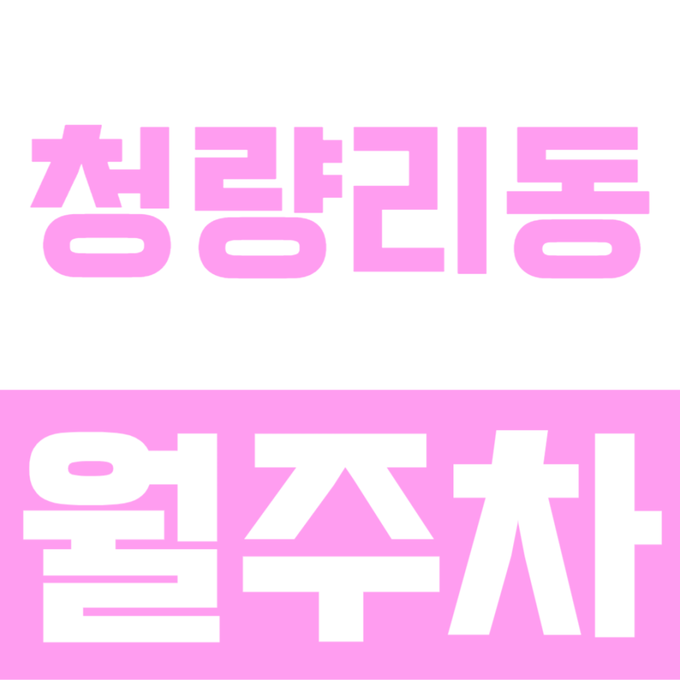 청량리동 월주차ㅣ청량리역 도보 5분 역세권 월주차장을 이용하는 방법 대표 이미지
