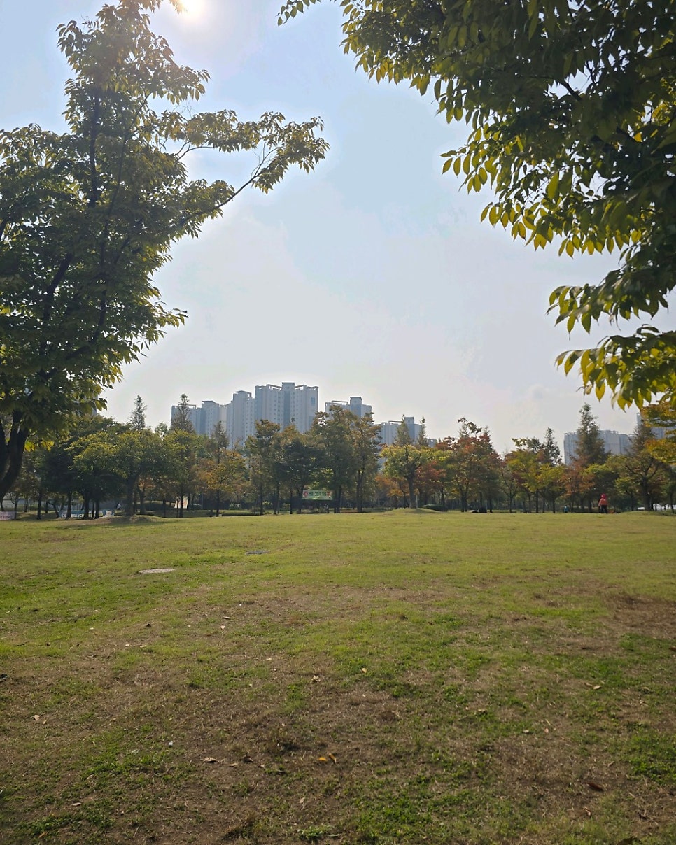 김포 한강중앙공원 주차장 라베니체 공영주차장 민영주차장 요금 비교 주차 꿀팁 할인권 정보