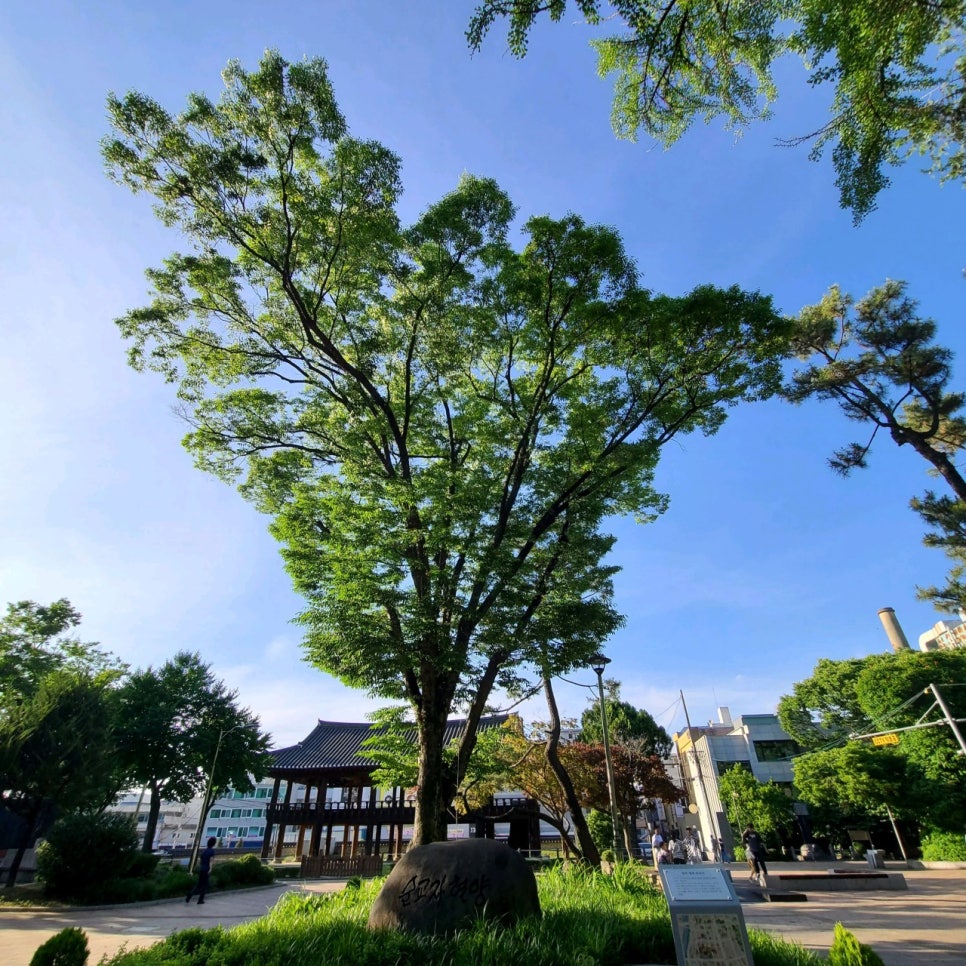 청주중앙공원 주차장 더글로리 바둑공원 나들이 정보 공영주차장보다 저렴한 주차 꿀팁