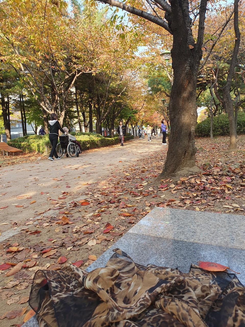 문정근린공원 주차장 문정역 문정법조단지 도보권 종일 주차 저렴한 곳 공영주차장 요금 위치 비교