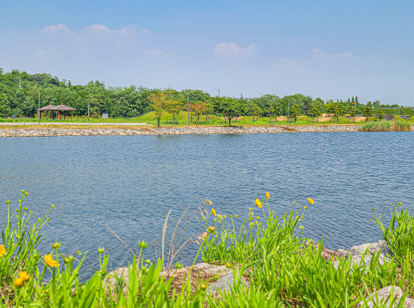 인천 연수구 새아침공원 나들이   저렴한 주차로 즐기는 하루 | 새아침공원 인근 주차장 소개