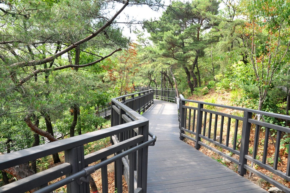 배봉산 주차장 | 배봉산 둘레길 걷고 인생샷 한 컷! 숲속도서관 & 휘경동 맛집 투어 (주차 꿀팁 포함)