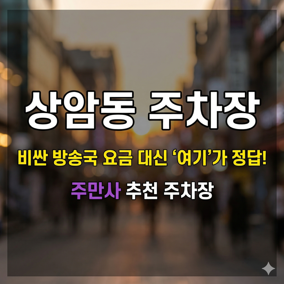 상암동 주차장 완벽 정리! DMC 방송국 미팅 & 하늘공원 방문 시 필수 체크 (일주차 꿀팁)