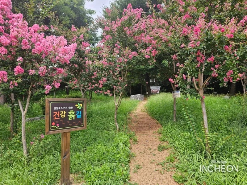 갈산동 주차 고민 끝 | 부평구청 인근 가성비 좋은 일주차! 길산동 주차장 리스트