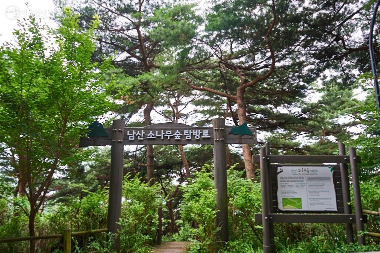 남산야외식물원 주차장 완벽 정리! 밤에 더 아름다운 남산 야간 산책 필수 체크