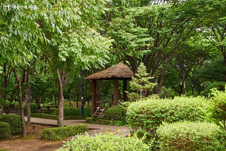 남산야외식물원 주차장 완벽 정리! 밤에 더 아름다운 남산 야간 산책 필수 체크