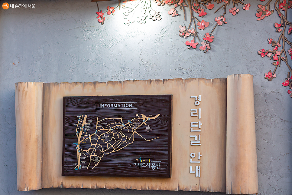남산야외식물원 주차장 완벽 정리! 밤에 더 아름다운 남산 야간 산책 필수 체크