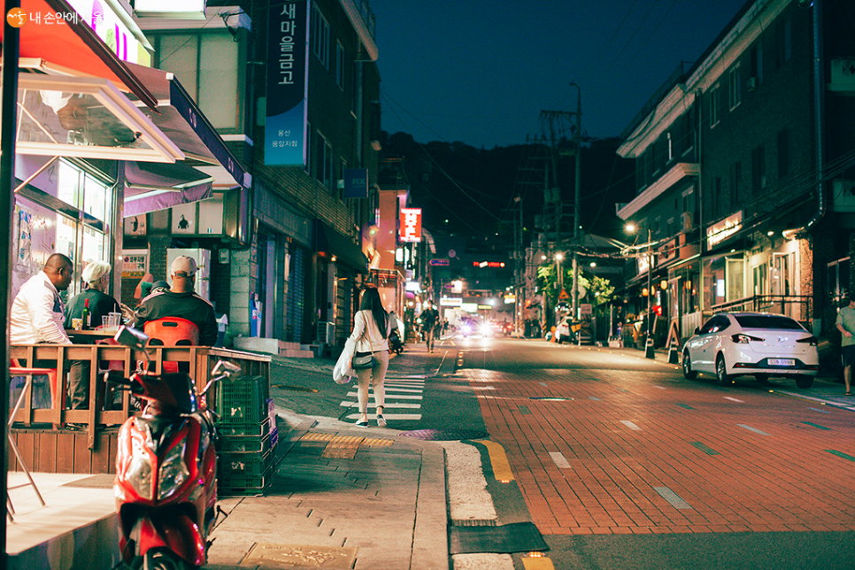 남산야외식물원 주차장 완벽 정리! 밤에 더 아름다운 남산 야간 산책 필수 체크