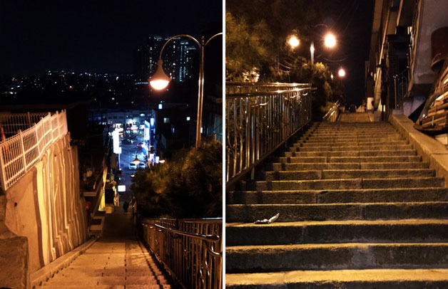 남산야외식물원 주차장 완벽 정리! 밤에 더 아름다운 남산 야간 산책 필수 체크
