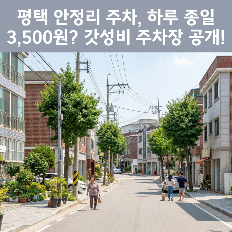 평택 안정리 주차장 완벽 정리! 팽성 로데오거리 & 캠프 험프리스 방문 시 필수 체크
