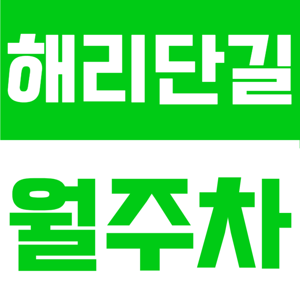 해운대로 메인 상권 출퇴근 주차비 아끼기: 월 10만원 평일 주간 전용 해리단길 월주차 정기 주차권 대표 이미지