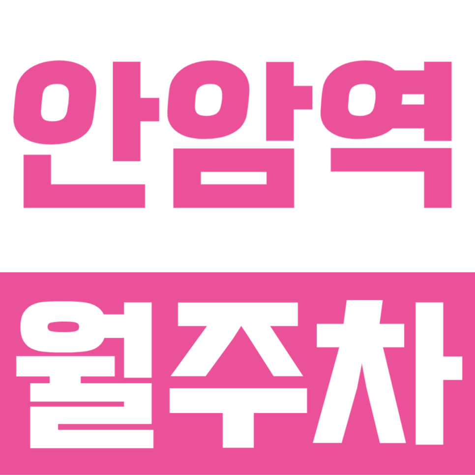 안암역 월주차ㅣ매번 좁은 골목길에서 진땀 뺐다면? 안암역 도보 1분 지정석 나만의 고정 주차자리 명당