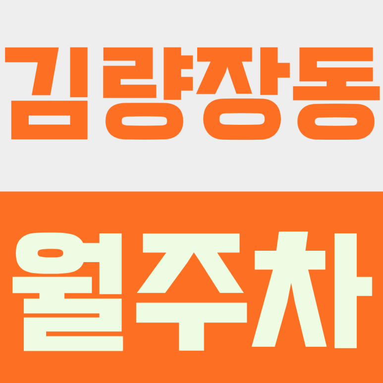 김량장동 월주차ㅣ용인중앙시장 근처 야간 주차장 오픈 (대형 SUV 가능/월 2만 9천원) 대표 이미지