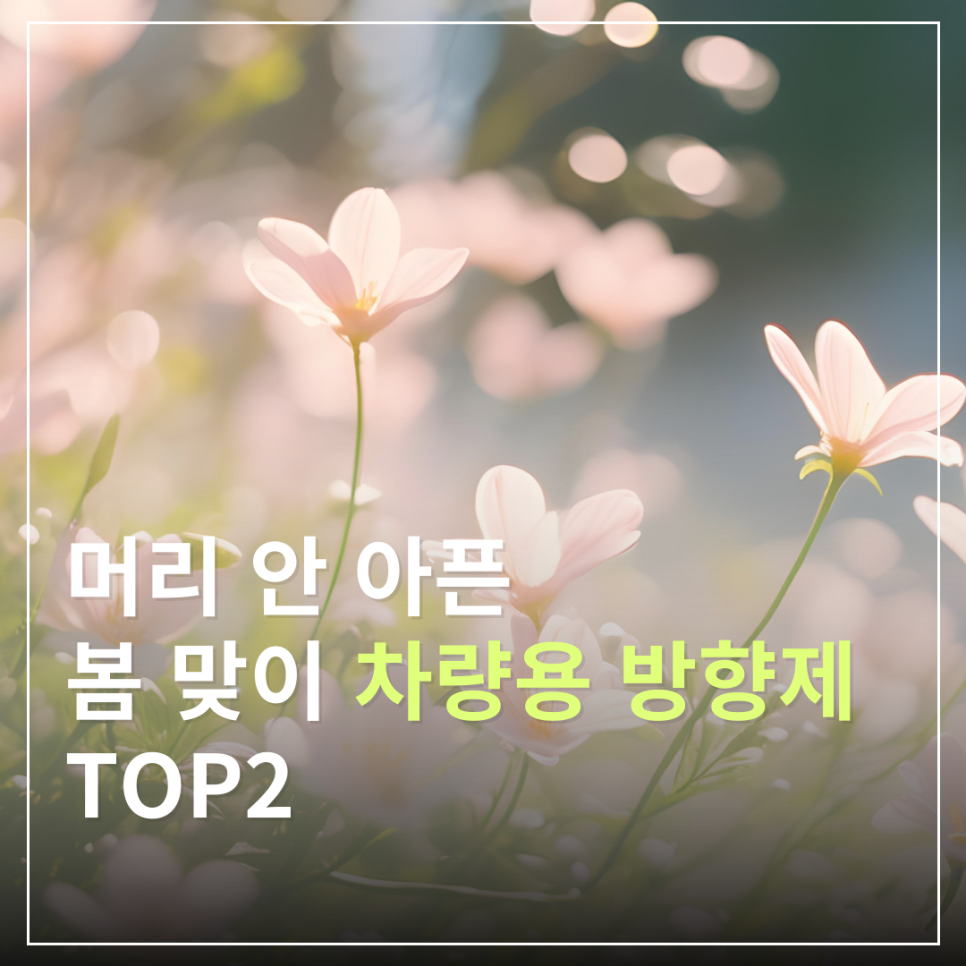 차 안에서도 봄 향기를! 향기로운 봄맞이 차량용 방향제 추천 TOP2ㅣ 은은한 차량방향제 추천 대표 이미지