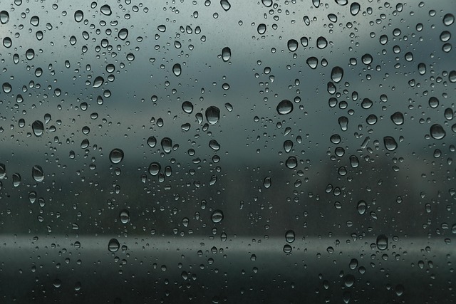 초보 운전 스티커로 사고 예방! 초보 운전자를 위한 필수 안전운전 팁