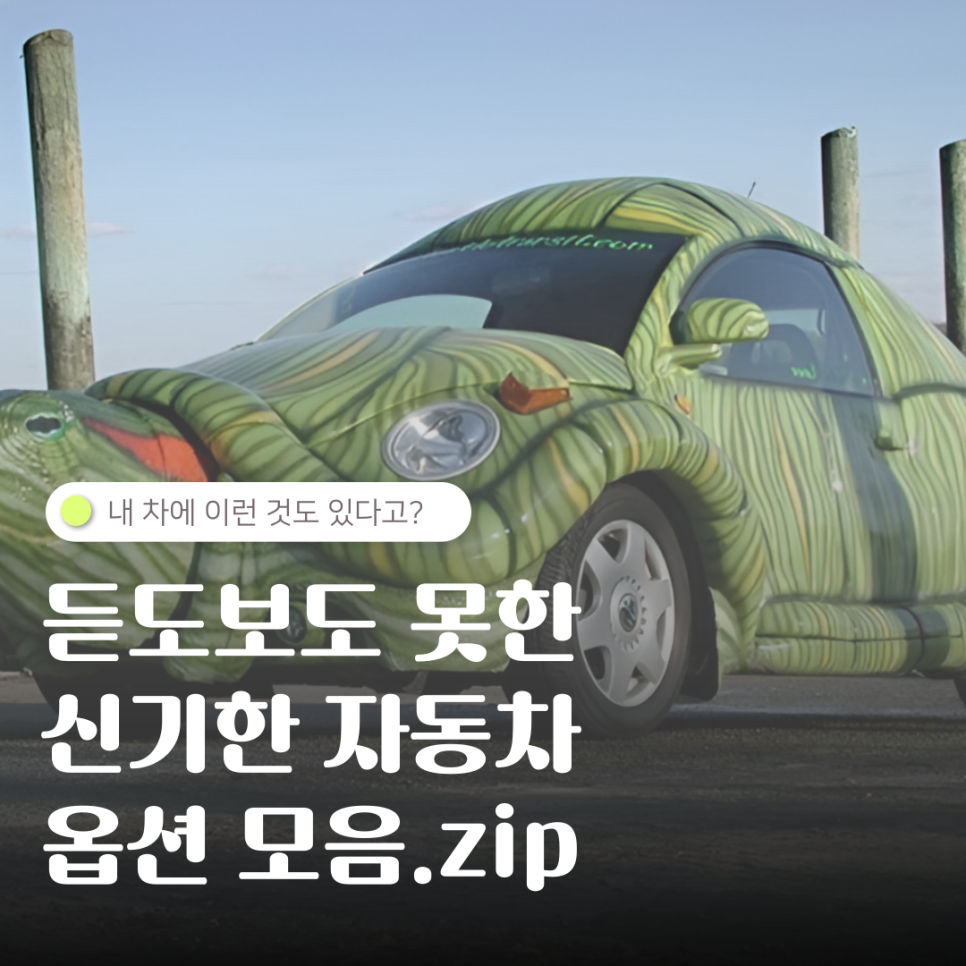 내 차에 이런 것도 있다고? 듣도보도 못한 신기하고 재밌는 자동차 옵션들