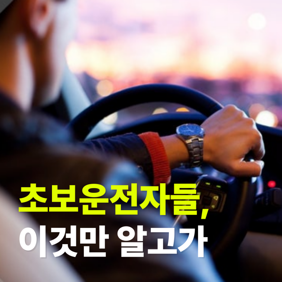 초보운전자를 위한 운전 필수 꿀팁, 이것만 알고가세요!