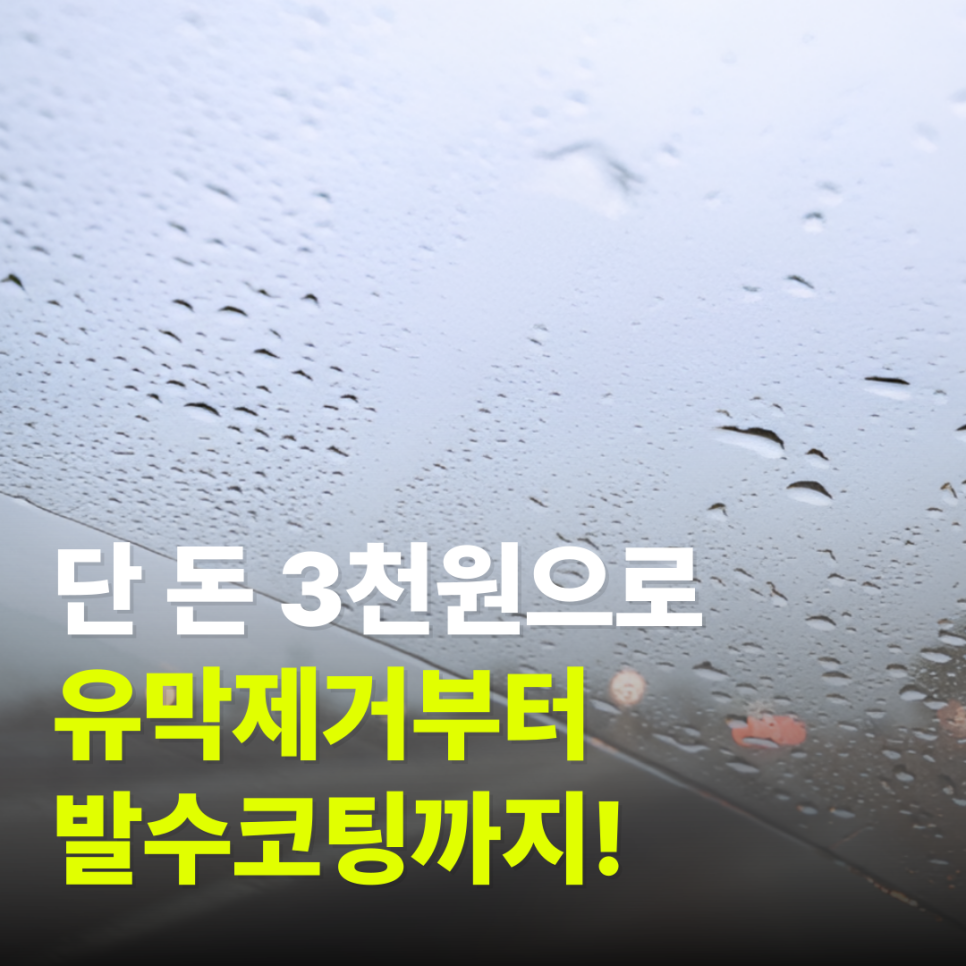 자동차 유막제거 & 발수코팅제 셀프 사용방법 : 다이소 제품으로 싸고 간편하게!