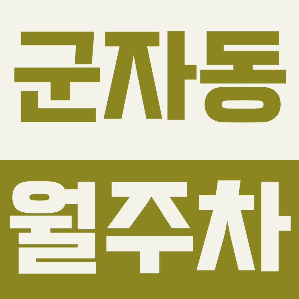 군자동 월주차 | 세종대·화양삼거리 24시! 공영주차장 5부제 중 나만의 지정석 확보하는 13만 원대 자주식 명당