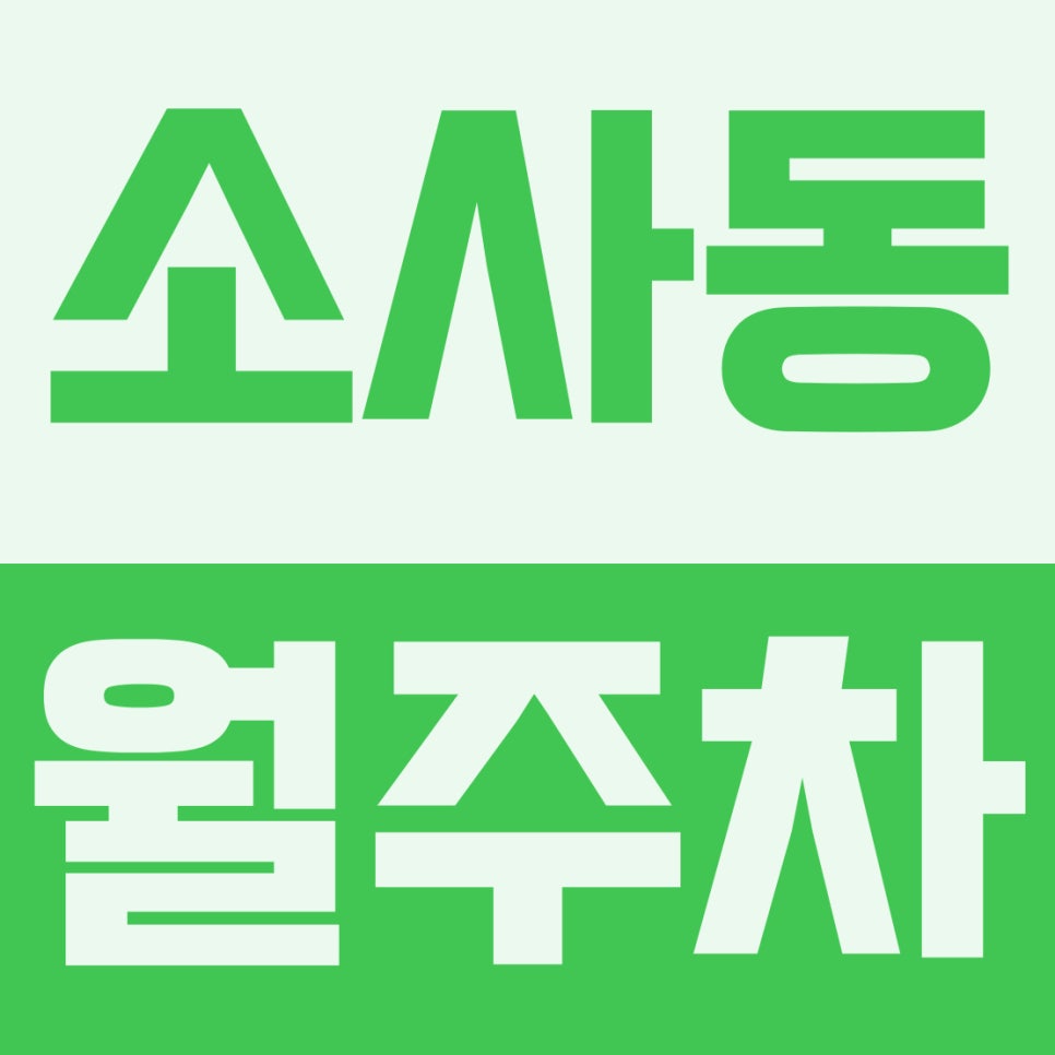 소사동 월주차 | 가톨릭대 성심교정·부천성모병원 5분 컷! 5부제 없는 소사역 24시 자주식 월주차 (10만 원대) 대표 이미지