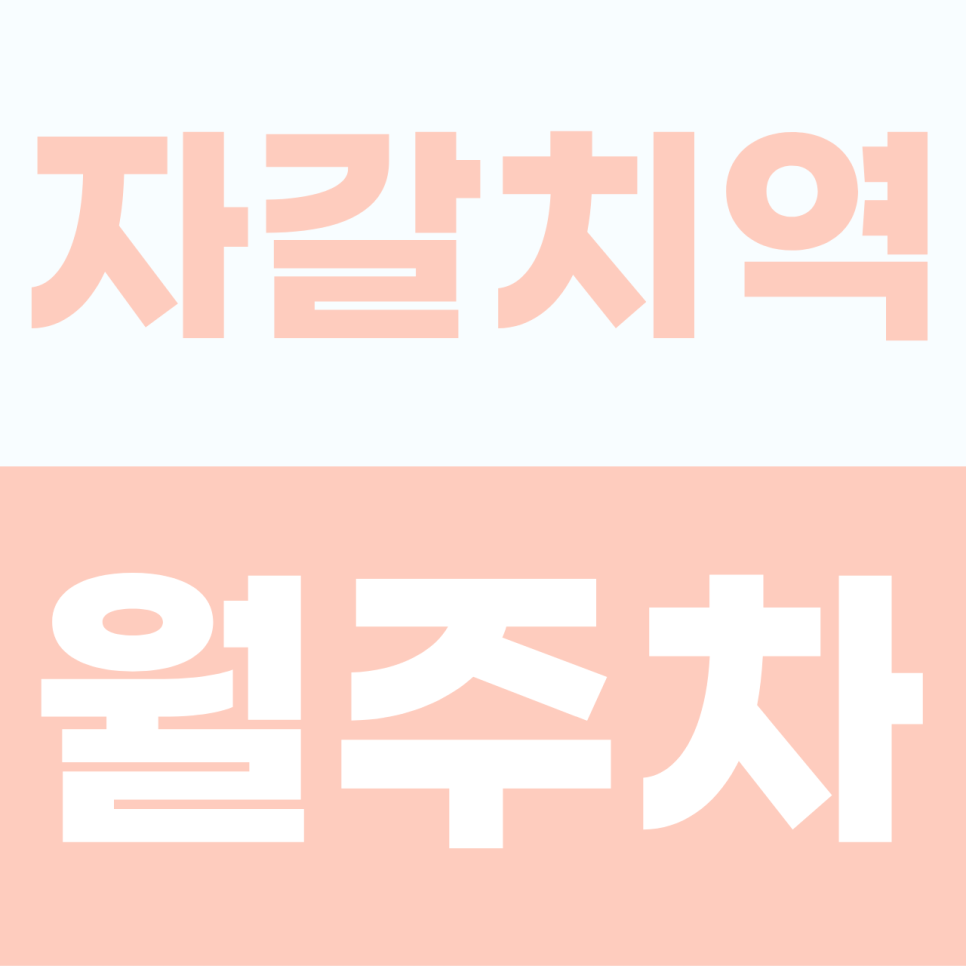 [2026] 자갈치역 월주차: 남포동·자갈치 시장 인근 SUV도 가능한 기계식 명당 (18162번) 대표 이미지