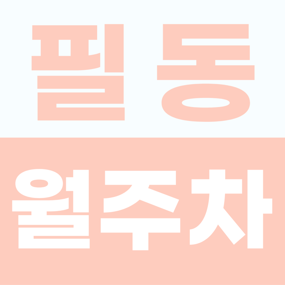 [2026] 필동 월주차: 퇴근 후 주차 고민 끝! 월 5만원대 야간 전용 자주식 명당 (26737번) 대표 이미지