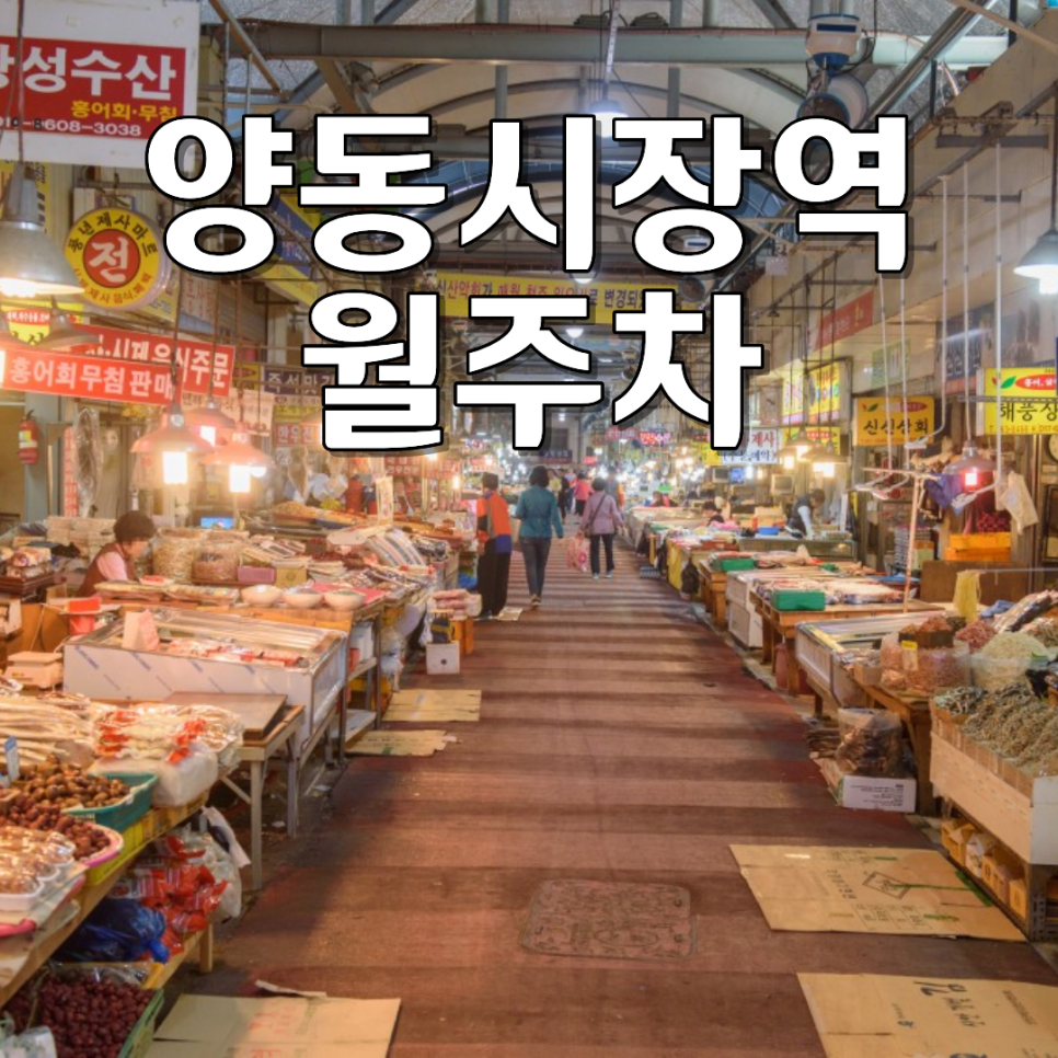 양동시장역 월주차ㅣ대형차·SUV도 전용석 보장! 24시 자주식 월정기 주차장 대표 이미지